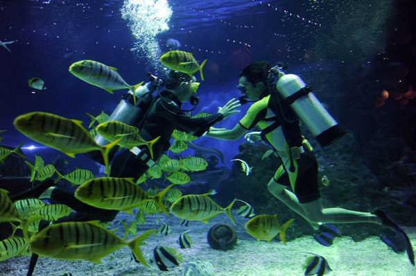 1642492820481934.png 5.png