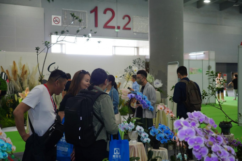 2024花城“新秀花事”亮點(diǎn)搶先看！和廣州國(guó)際花藝節(jié)一起解鎖“花經(jīng)濟(jì)”財(cái)富密碼(圖4)